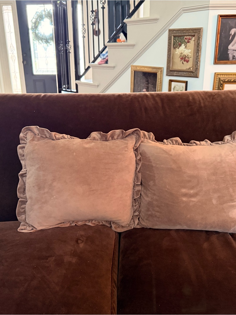 Plush Velvet Ruffled Throw Pillow cover - brown